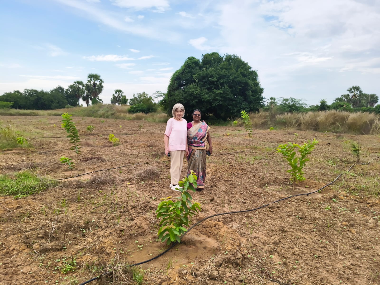 Agricultural Support