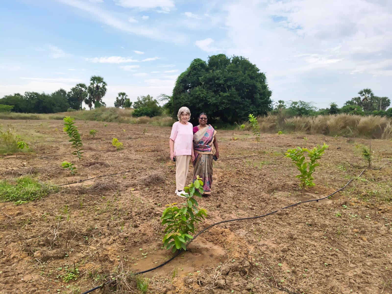 Agricultural Support